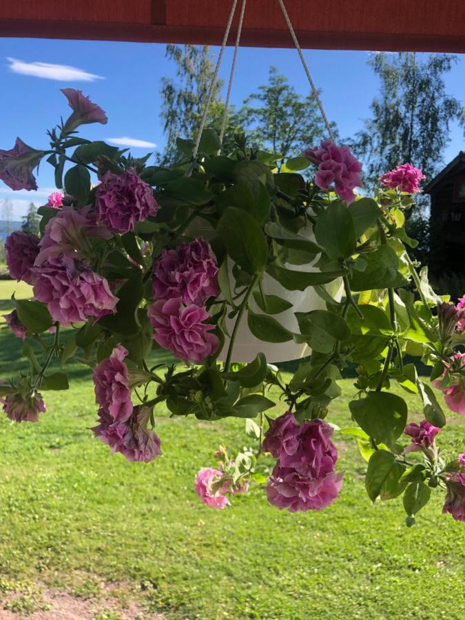 Mysigt Boende I Raettvik Med Utsikt Oever Siljan Екстериор снимка